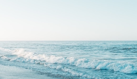 免疫生物研究所（証券コード: 4570）の今後について考察する